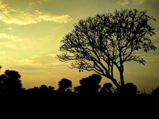 Hyderabad To Mahbubnagar – Spend A Relaxing Time Amid Lakes And Waterfalls