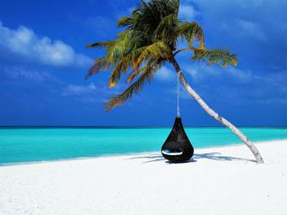 5 Things To Keep In Mind While Going To Beaches