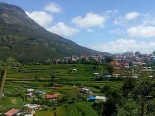 All About The Vegetable Land Of Vattavada In The Mountains Of Kerala