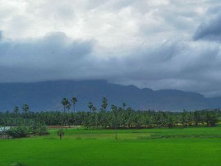 5 Things To Do In Nagercoil To Experience The Best Of Tamil Nadu
