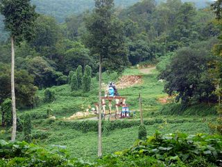 7 Surprising Facts About The Controversial Sabarimala Temple