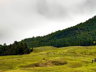 Kugti Wildlife Sanctuary – Where You Can Witness The Magic Of Nature