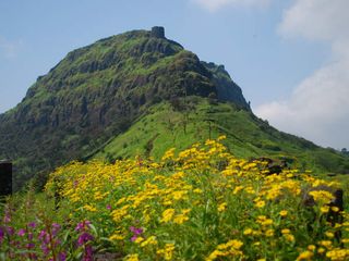 Rajgad Fort Near Pune – A Hill Fort Built Above The Clouds