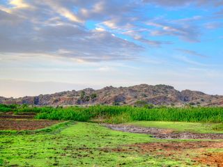 To Ambasamudram: A Picturesque Town Huddled In The Western Ghats Of Tamil Nadu