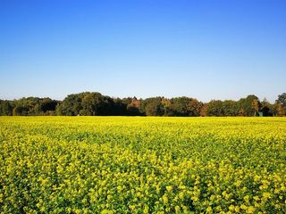 Jalandhar: The City Of Rich Cultural Heritage