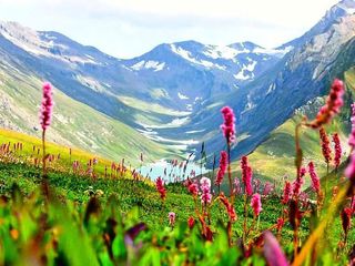 Kashmir: The Mise-en-Scène Of Bollywood