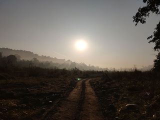 Adventurous Jungle Safari, camping in exotic resorts: All you should know about Rajaji National Park