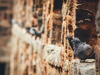 Anantapur: An Arresting Town Cradled In The Eastern Ghats Of Andhra Pradesh