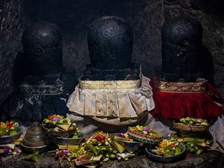 Witness The Unique Celebrations This Mahashivratri Across The Vibrant States Of The Country