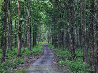 Mongpong: Gateway To The Dooars