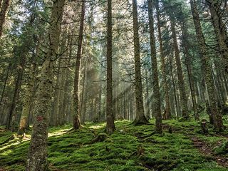 The Legend Of Kumaon, Uttarakhand 