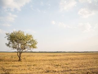 Think Different And Plan Your Vacation To The Lesser Known Destination Of Chittoor