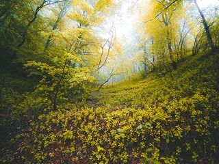 Khonsa, The Land Of Verdant Valleys