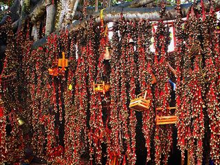 Idyllic Deoghar: The Perfect Getaway For A Spiritual Daze