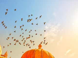 Here's Our Guide To The Must-visit Places Of Jaipur