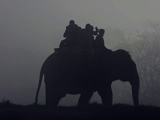 Kabini - A Land Beyond The Ordinary 