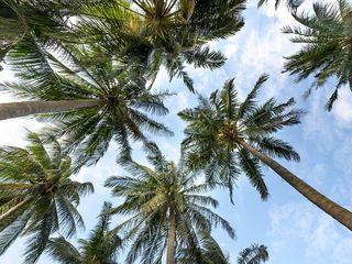 Explore & Savour These 10 Best Budget-Friendly New Year Destinations In India In 2020!