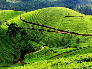Best Places To Visit In Kerala In April 2020