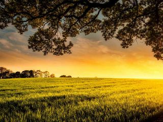 Best Places To Visit In Assam In September