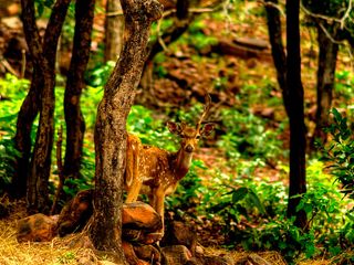 10 Best Places To Visit In Madhya Pradesh In September 2021