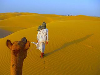 10 Best Places To Visit In Rajasthan In November