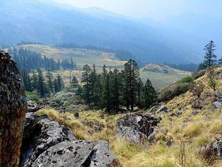 10 Best Places To Visit In Manali In December 2021