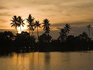 10 Best Places To Visit In Kerala In March 2021