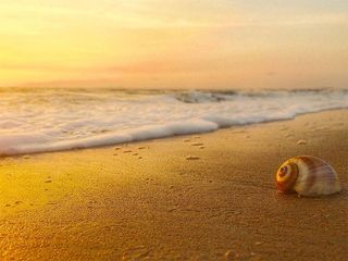 10 Best Places To Visit In Goa In April