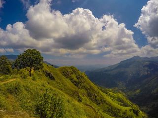 10 Best Places To Visit In Nagaland In June