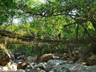 10 Best Places To Visit In North East India In June 2021