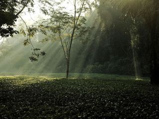 10 Best Places To Visit In Assam In July