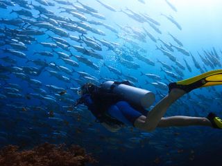 Fun Water Sports To Try In India For Couples