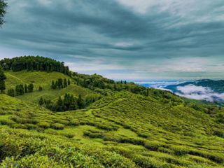 West Bengal's Ten Best Winter Destinations