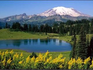 10 Best Winter Destinations in Assam