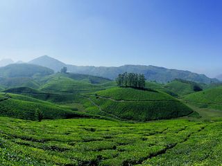 Budget Friendly Winter Places To Visit  Around Bangalore