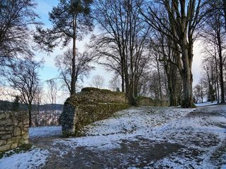 Best Family Winter Vacations In India