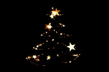 Best Places In India You Can Visit During Christmas