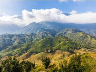 Best Places To Visit In Kerala In December 