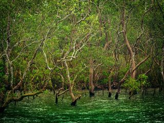 Weekend Getaways From Kolkata