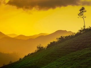 The Most Beautiful Monsoon Places In India