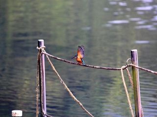 Reasons Why It Is Best To Travel To India During Monsoon