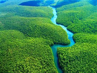 The Amazon – Planet's Artless Beauty