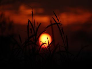 Best Day Trips From Bangalore To Take Now