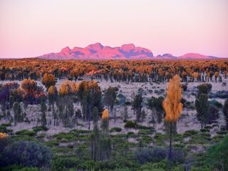 Kata-Tjuta:  The World's Strangest Mountain