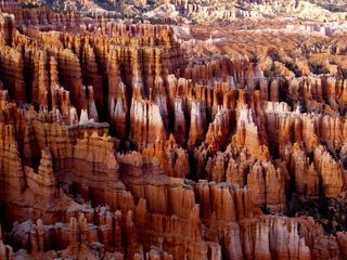 Bryce Canyon: Abode To A Series Of Natural Rock Amphitheatres