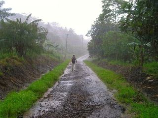 Wettest Places in The World: List of Rainiest Places on Earth