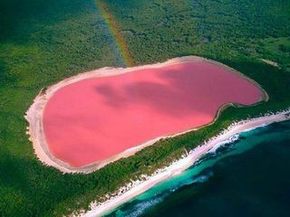 Lake Hillier: Pastel-pink Coloured Enigma