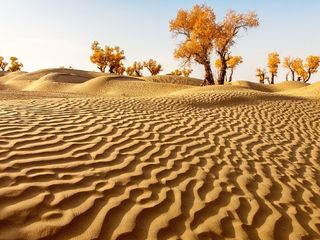 Taklamakan Desert: The Silk Route That Connected The East And The West