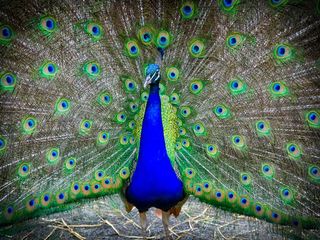 Best Zoos in the United States to Visit in 2022