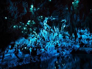Waitomo Cave: New Zealand’s Glowing Cave